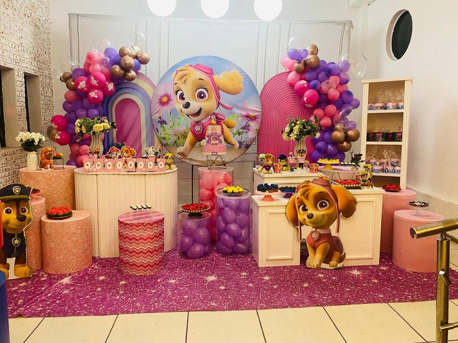 Decoração Patrulha Canina · Patrulha Canina Skye · Buffet Family