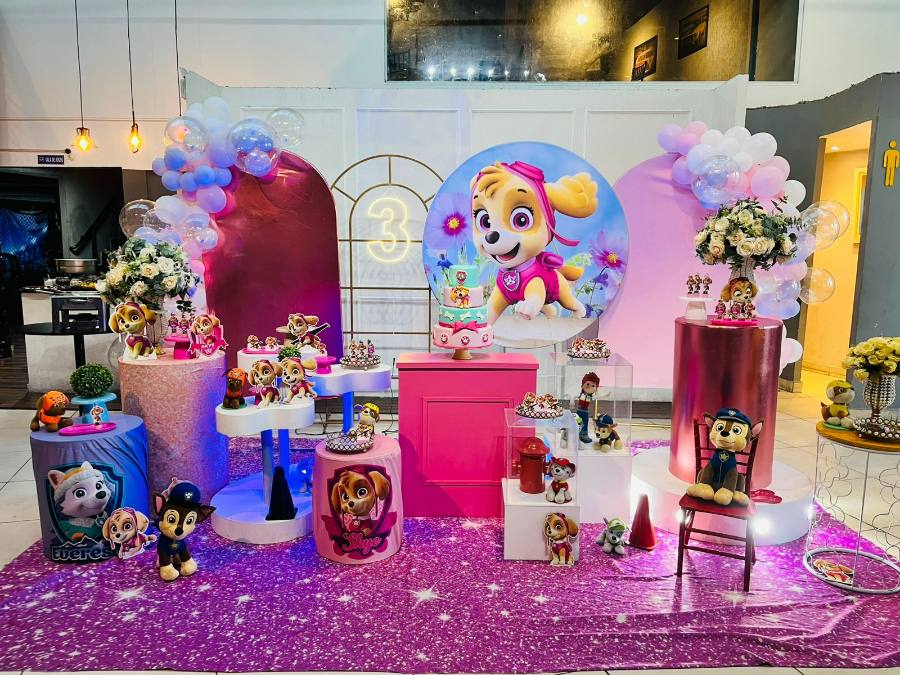 Decoração Patrulha Canina · Patrulha Canina Skye · Buffet Family